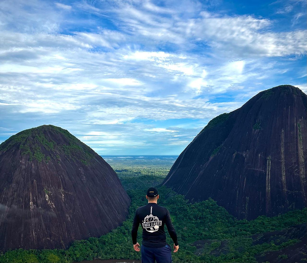 Miniatura: CERROS DE MAVICURE