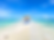 Miniatura: ISLA PALMA 🌴💙