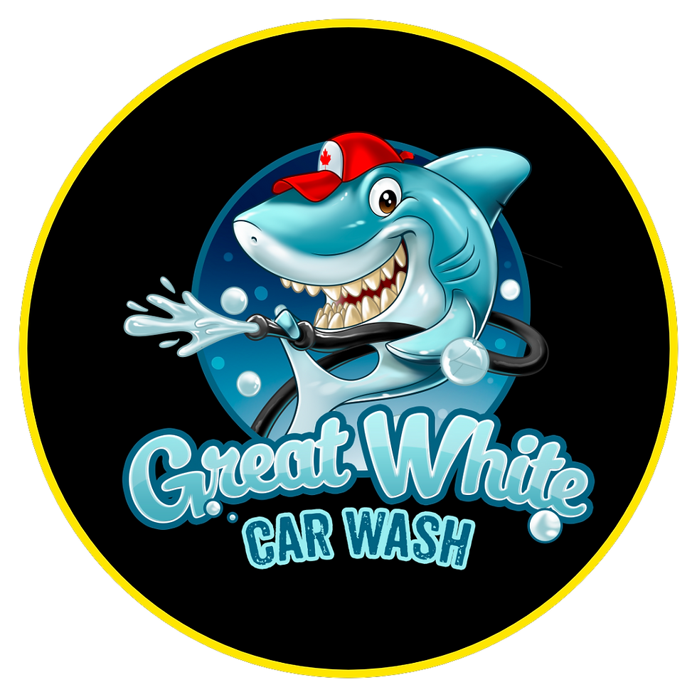 Great White Car Wash