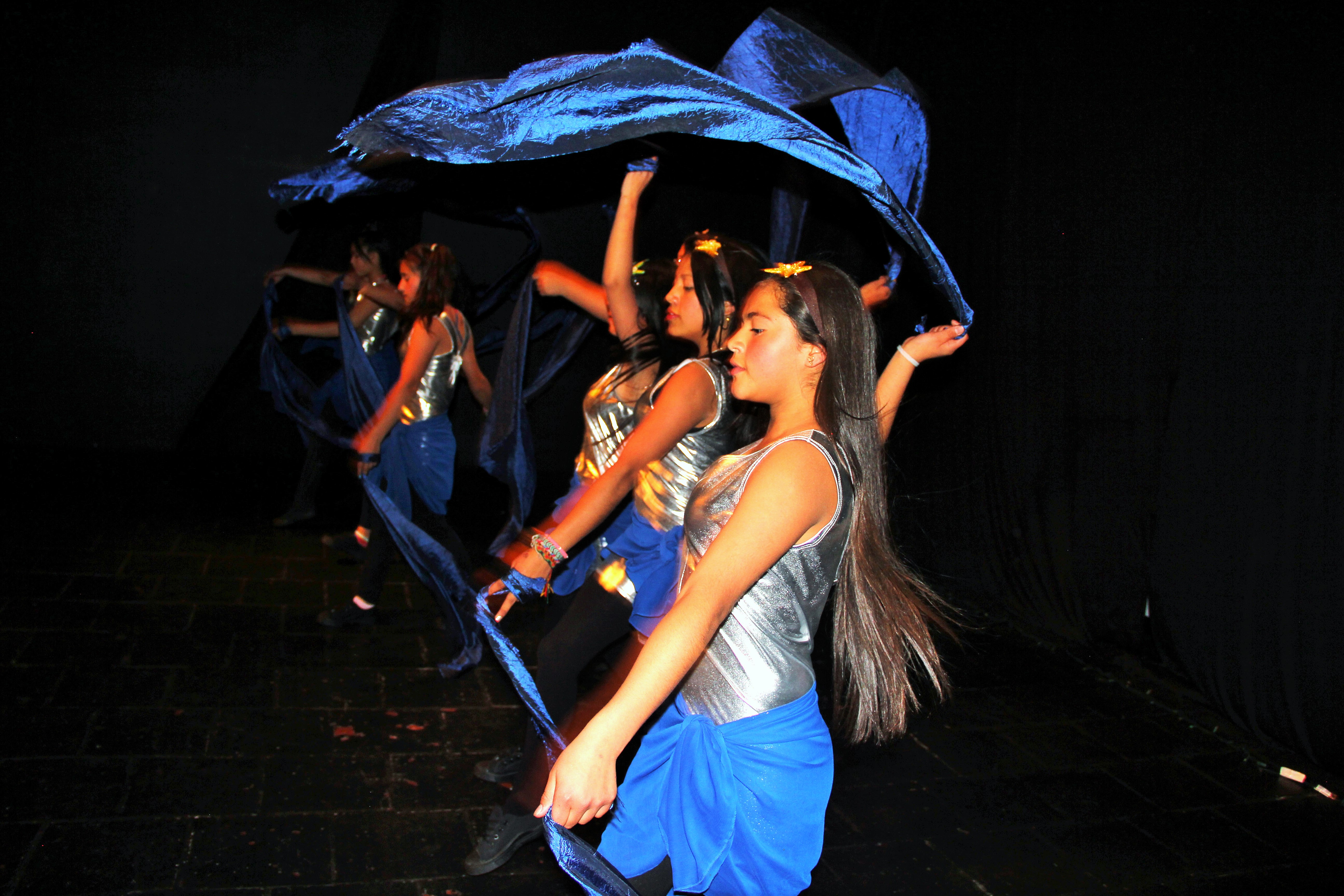 Ensayo SIRENAS