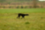 IMG-20210415-WA0029_edited.jpg