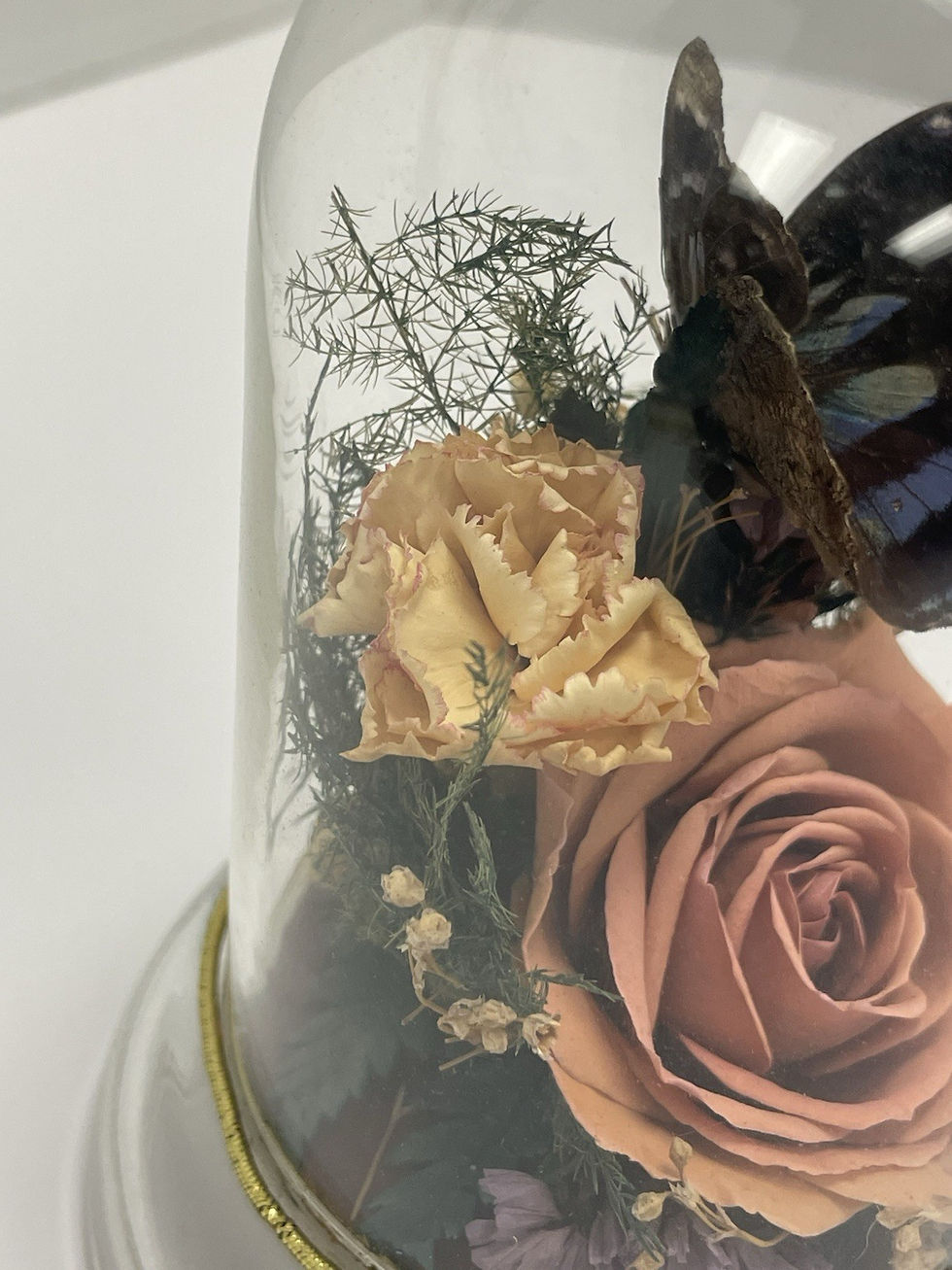 Thumbnail: Eternal Elegance Floral Rose Dome w Butterfly Decoration By Natural Expressions