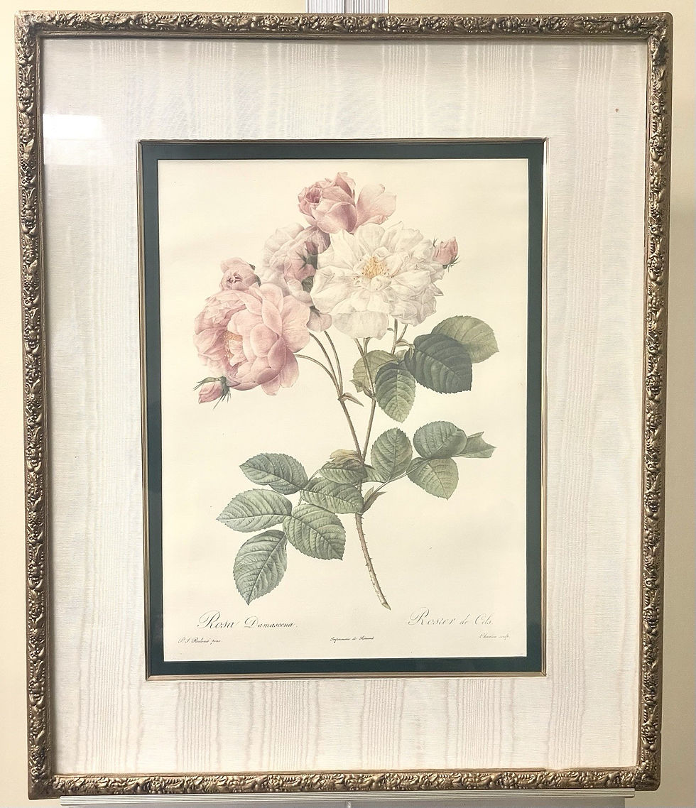 Thumbnail: “Rosa Damascena” Licensed Reprint By Pierre-Joseph Redouté Bombay Company 1993