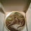 Thumbnail: LENOX 1982 American Wildlife Collector Plate by Norman Adams OTTERS and Fish