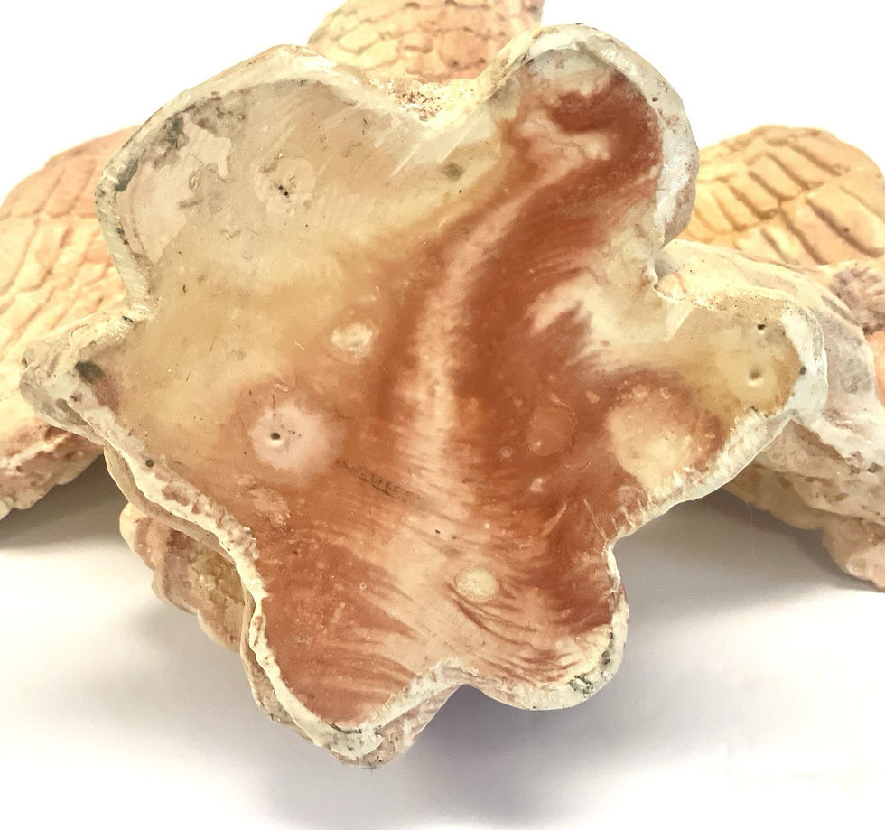 Thumbnail: Vintage Comanche Pottery “Eagle On Branch Stretching Wings” Figurine Statue