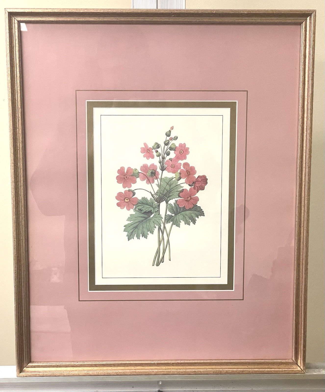 Framed Limited Edition Botanical Lithograph Print By Pierre- Joseph Redouté