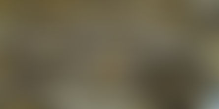 Executive Search Consultants - Deals Recruit - How To Succeed As Being A Executive Recruit