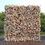 Thumbnail: Peach Flower Wall