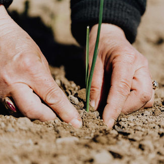 Nuwefontein farm.jpg