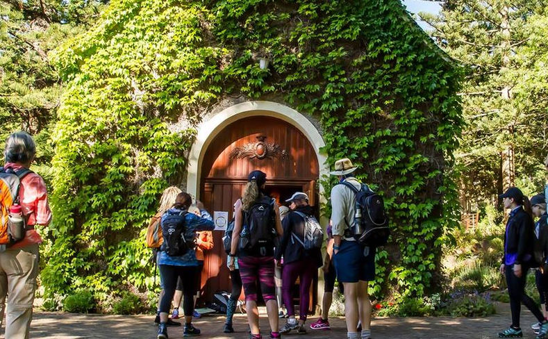 schoenstatt image.jpg
