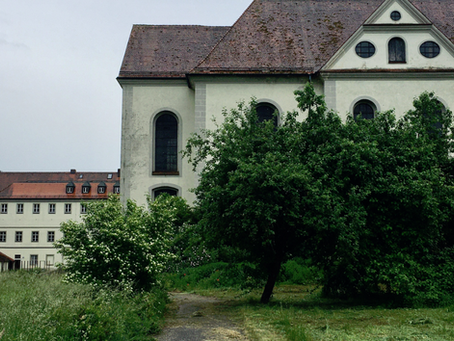 Selbst an Regentagen wildromantisch - unser Klostergarten wird in Form gebracht