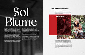 Pulse Latyout5.jpg