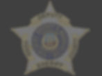 gold badge 10_edited.jpg