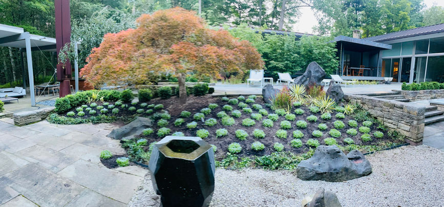 Backyard Update