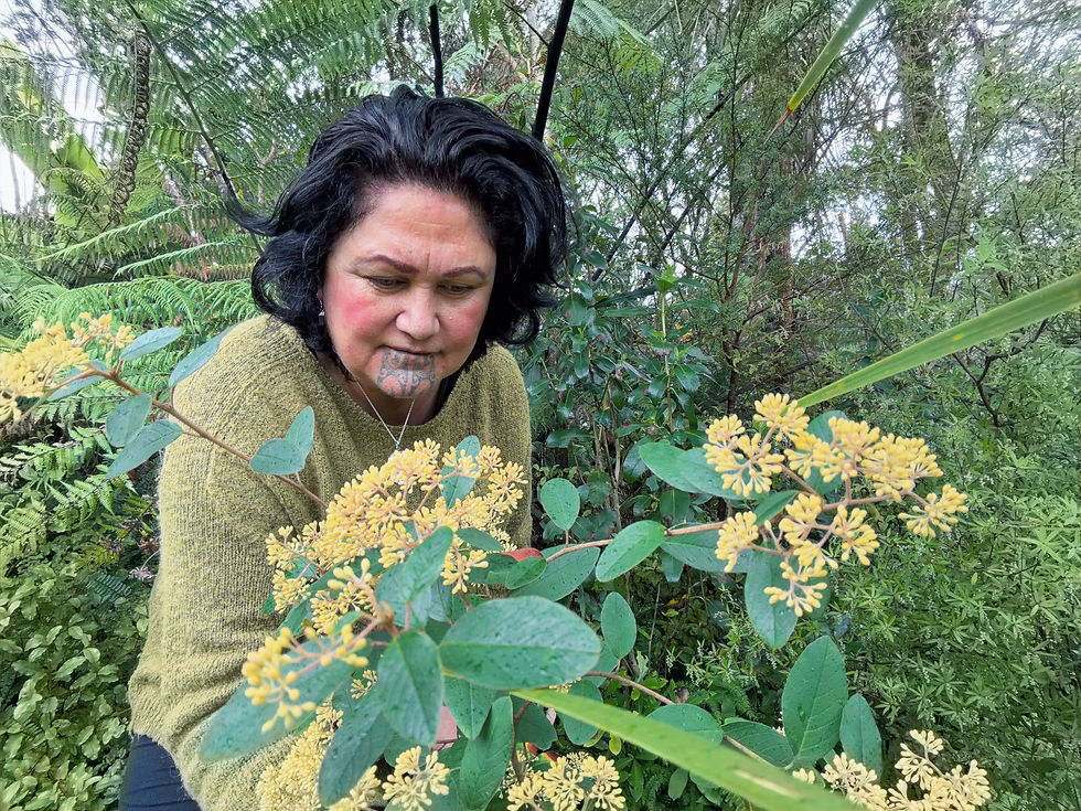 Joanne Hakaraia sitting with flowering kūmarahou in her maarare