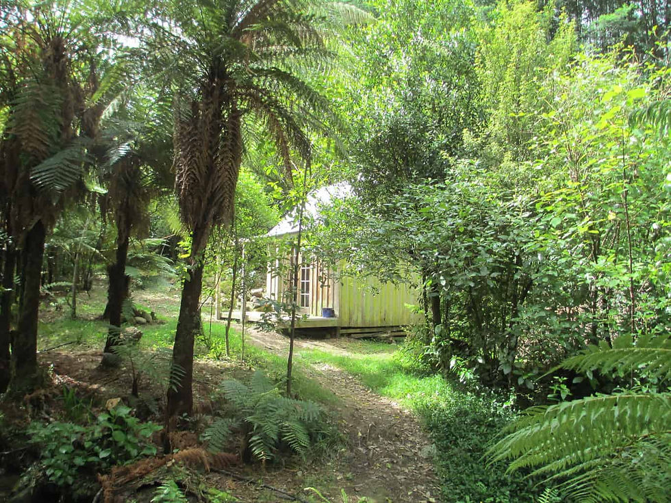 Rongoā Mauri Wānanga ~ ŌTAKI