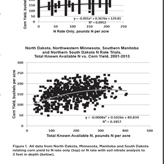 The Haney Test - Truth, Lies and Between