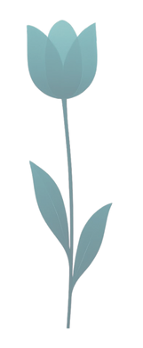 5.png