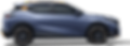 emzoom.png