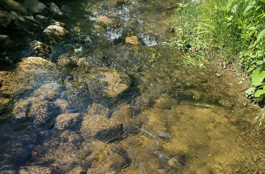 20210627_161547_edited.jpg