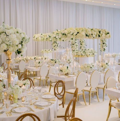viola events