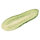 Cetriolo