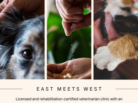 integrative rehabilitation