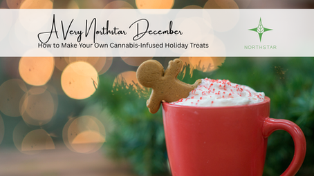 Red mug with whipped cream and a gingerbread cookie. Holiday bokeh lights in background. Text: A Very Northstar December.