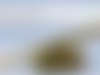 Joint and cannabis buds on a gradient blue background. Text: "Cannabis and Energy" and more describing Northstar experience. Green logo.