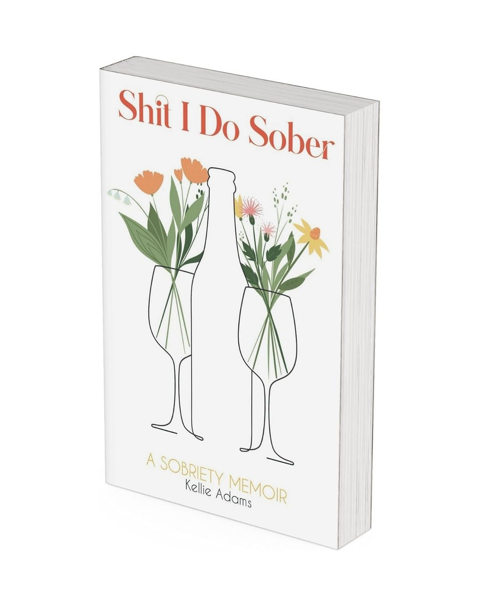 Shit I Do Sober Book | A Sobriety Memoir