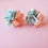 Miniatura: TOPOS BICOLOR
