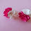 Miniatura: TOPOS BICOLOR