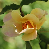 IMG_2804.jpeg