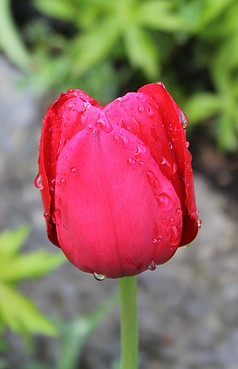 IMG_0877.jpg