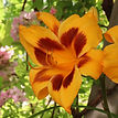 IMG_3705 2.jpeg