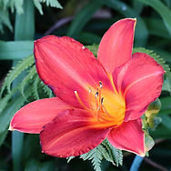 IMG_6325.jpeg
