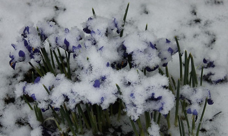 toppbilde vaar_vinter1.jpeg