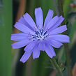 IMG_5254.jpeg