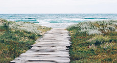 Rustic Beach Path