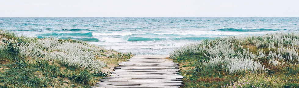 Rustic Beach Path