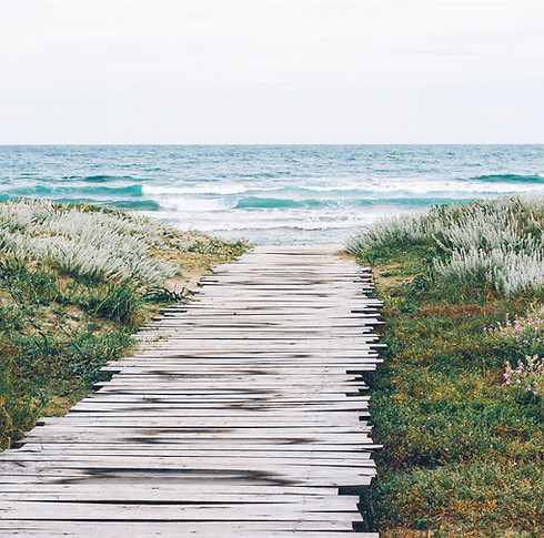 Rustic Beach Path