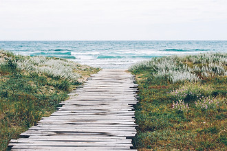 Rustic Beach Path