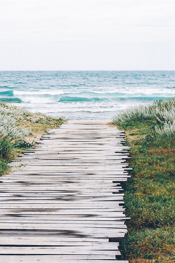 Rustic Beach Path
