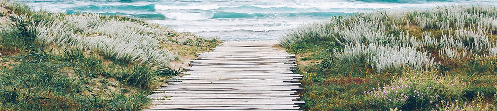 Chemin de bois en bord de mer