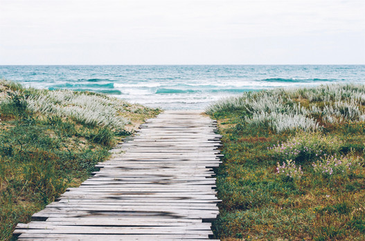 untitled image