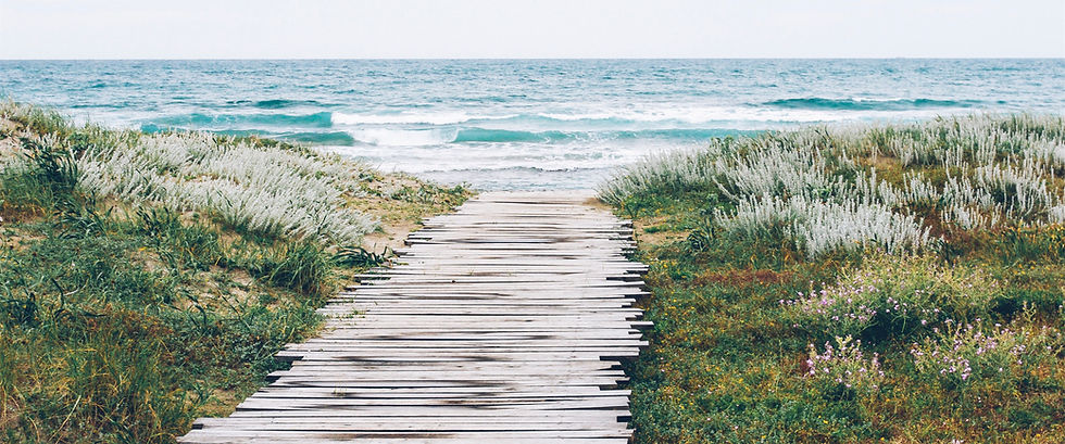 Rustic Beach Path