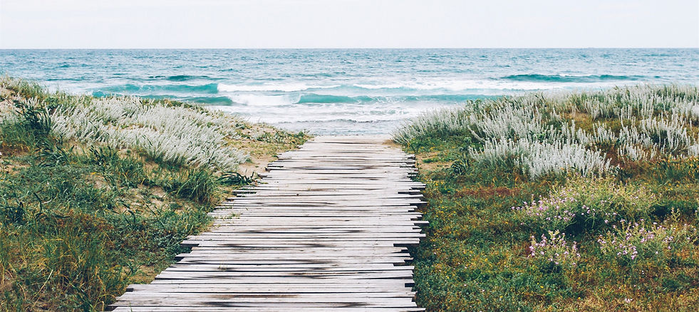 Rustic Beach Path