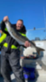 Damian Cegielski 4,5 kg Köhler