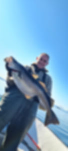 03970608-a596-4de3-9c85-864231433b03