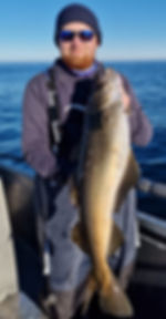 776cfb8c-001f-4945-a94c-fb49f99d33ac